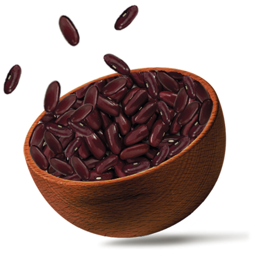 Red Kidney Bean