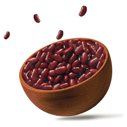 Red Small Kidney Bean